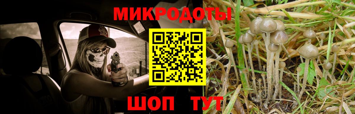 Псилоцибиновые грибы Cubensis Междуреченск